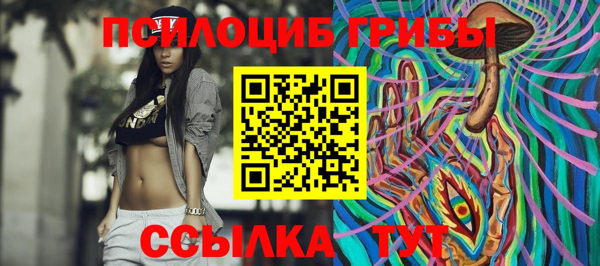 Псилоцибиновые грибы Psilocybe Знаменск